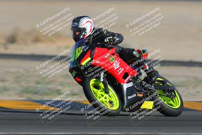 media/Feb-04-2023-SoCal Trackdays (Sat) [[8a776bf2c3]]/Turn 4 (Tree of Life 2pm)/